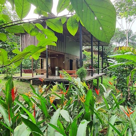 Amazona Lodge Leticia Ngoại thất bức ảnh
