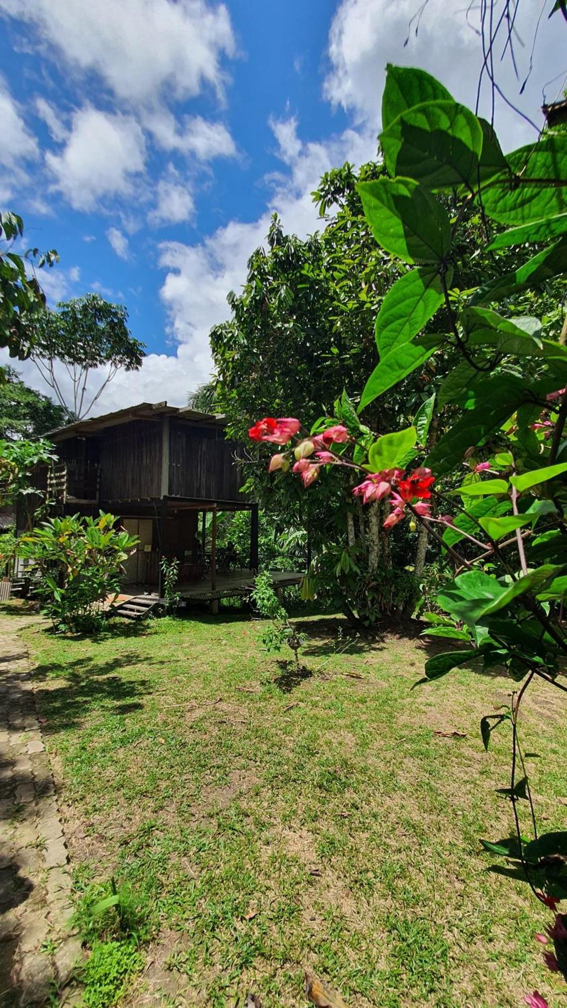 Amazona Lodge Leticia Ngoại thất bức ảnh